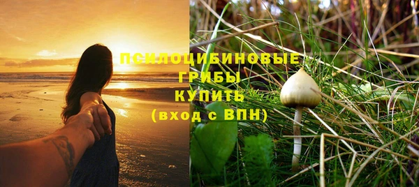 амф Белоозёрский