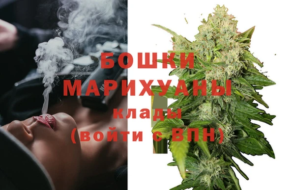 бутират Белокуриха