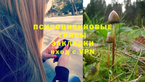 амф Белоозёрский