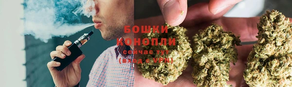 бутират Белокуриха