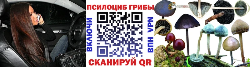 закладки  Комсомольск  Галлюциногенные грибы ЛСД 